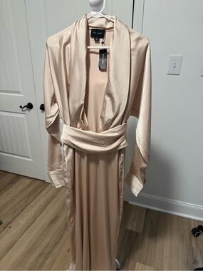 PLT Label Oyster Satin Long Sleeve Plunge Maxi Dress